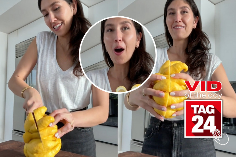 viral videos: Viral Video of the Day for January 22, 2024: Behemoth lemon baffles woman on TikTok! What's inside?