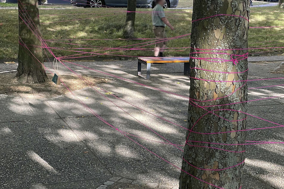 Schnüre zwischen Bäume gespannt und Radlerin fast zu Fall gebracht: Polizei sucht nach Zeugen