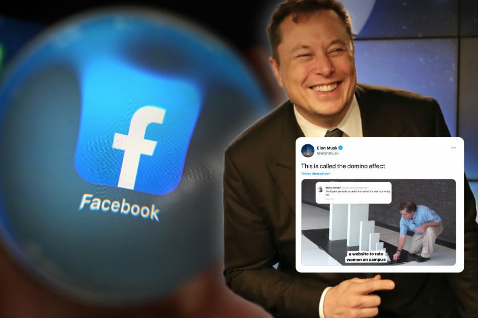 Elon Musk sorgt mit Dominostein-Tweet für Aufsehen: Er attackiert Facebook!