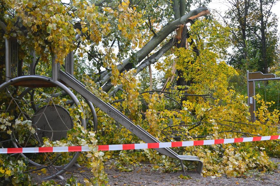 Auch auf dem Spielplatz im Stünzer Park hat der Sturm am Donnerstag heftig gewütet. Mehrere Bäume sind umgestürzt und auf Spielgeräten gelandet. Der Platz ist aktuell gesperrt.