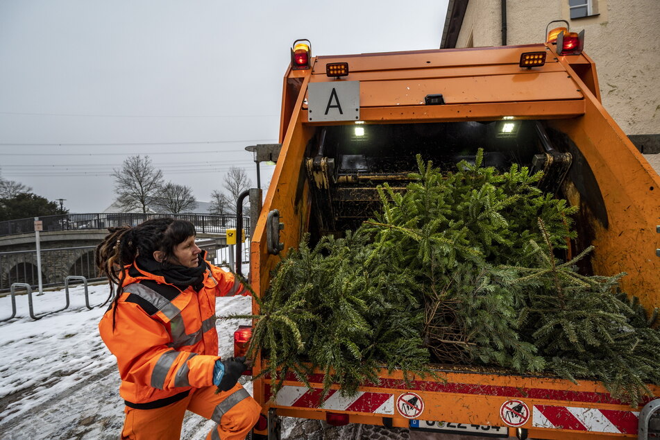 Der ASR ist im Januar wieder auf der Mission "Weihnachtsbaum" unterwegs.