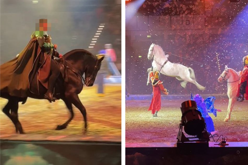 Bei der Show "Cavalluna" sollen tierschutzwidrig Praxen eingesetzt werden.