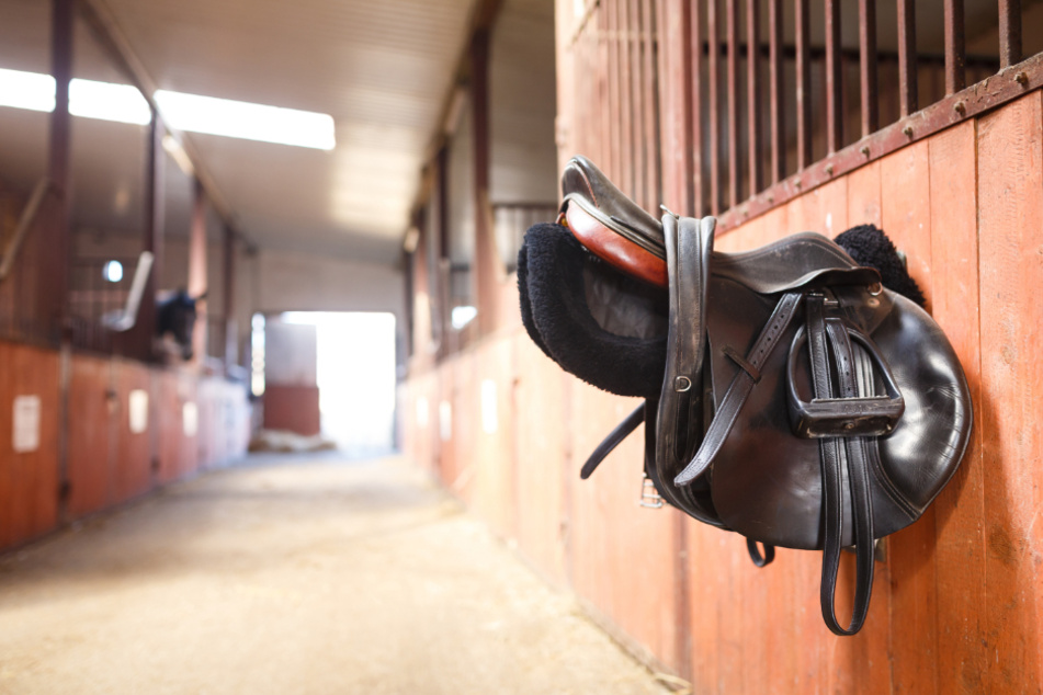 Stallknecht mit Stock zu Tode geprügelt: Lügt der Angeklagte über den Tathergang?