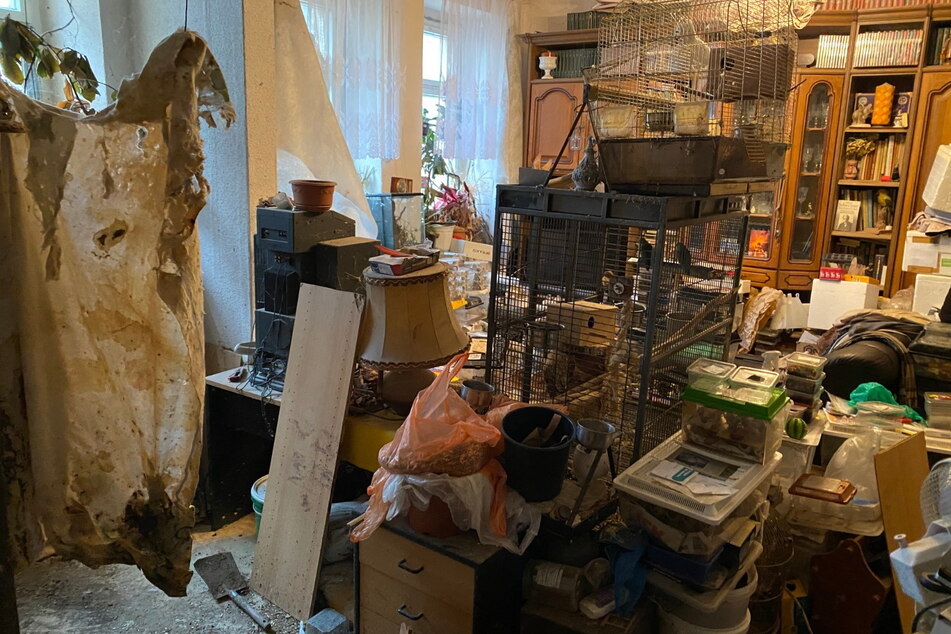 Im Wohnzimmer liegen Futter- und Tierboxen übereinander gestapelt. In der Mitte stehen zwei Vogelkäfige.