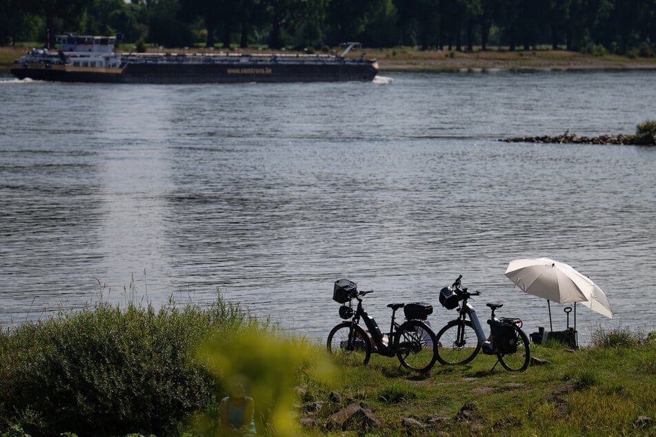 An vielen Stellen in Köln, hier etwa in Langel, lädt das Rheinufer zum Baden ein. Schon bald könnte das allerdings streng verboten sein.
