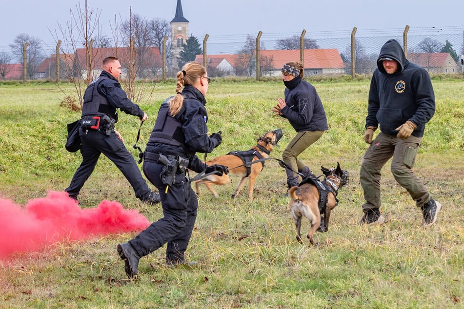 Training: Polizeihunde werden nicht nur zum Aufspüren von Drogen, Geld oder Leichen eingesetzt. Sie finden auch USB-Sticks oder Sprengstoff.