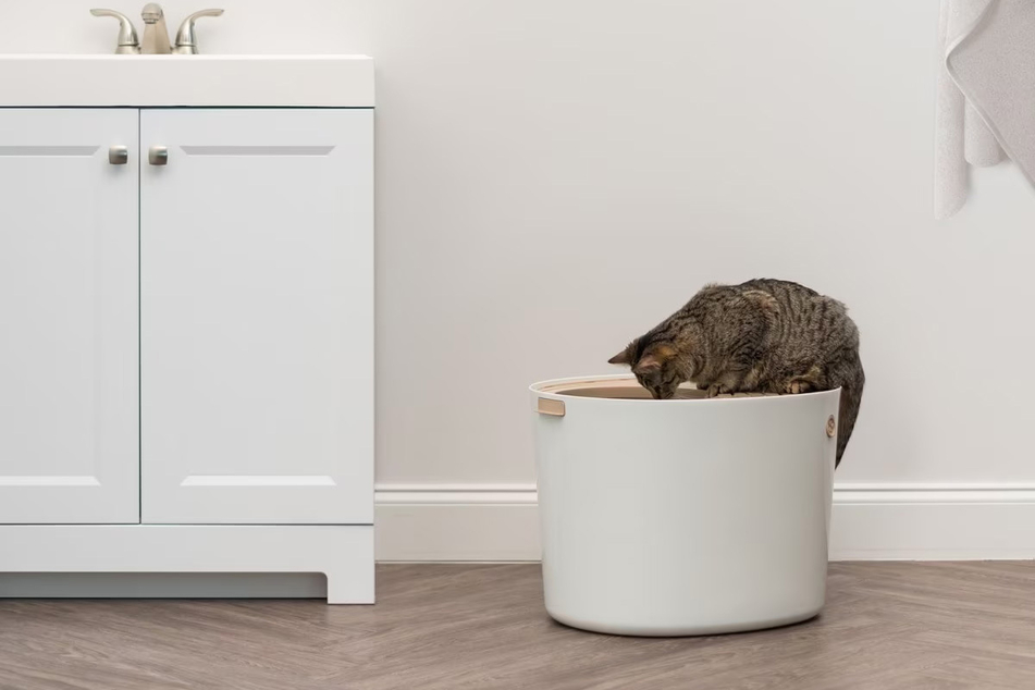 Switch things up from a traditionally shaped litter box with the IRIS USA Round Top Entry Cat Litter Box, which helps with messes.