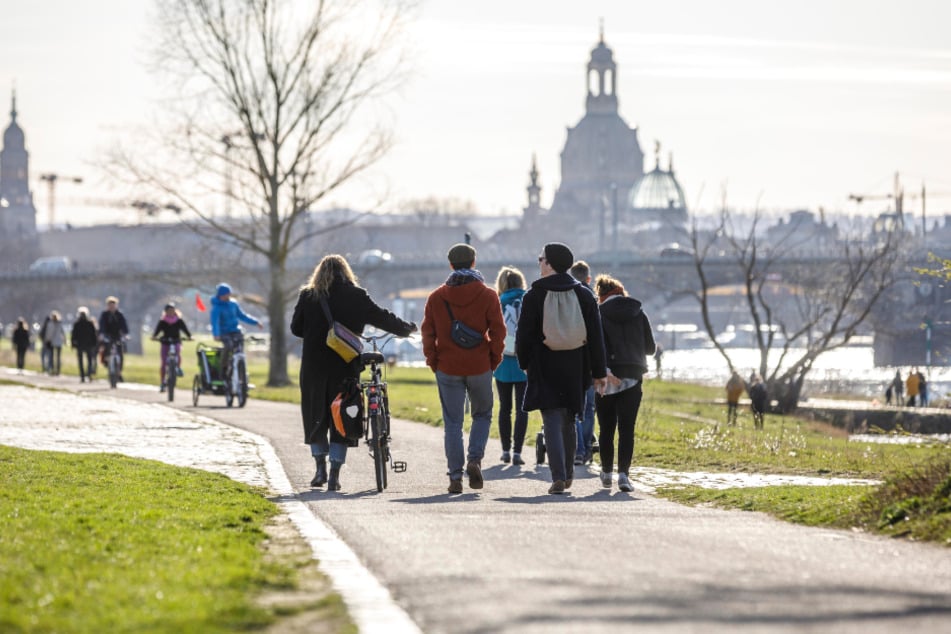 Weniger Touristen in Dresden: Dennoch genossen zahlreiche Passanten am Wochenende Sonnenschein und erste Frühlingsboten.