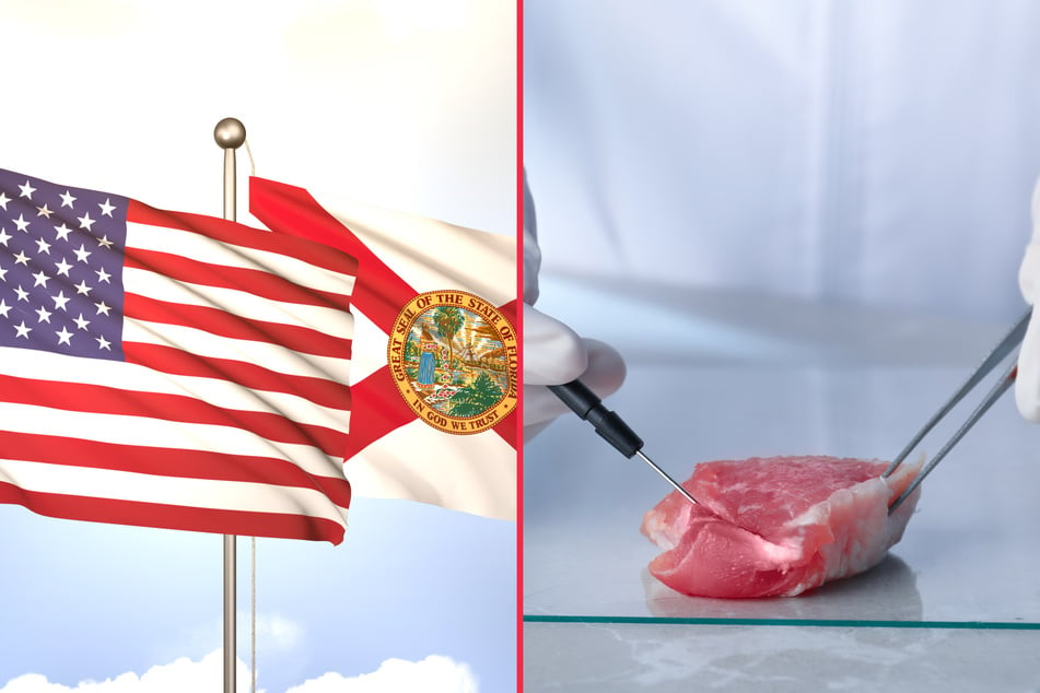 Florida bans lab-grown meat in latest anti-climate crackdown