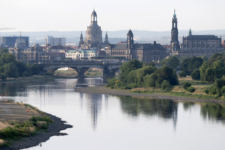 Die Elbe in Dresden hatte bereits im vergangenen Sommer zu wenig Wasser. (Archivbild)