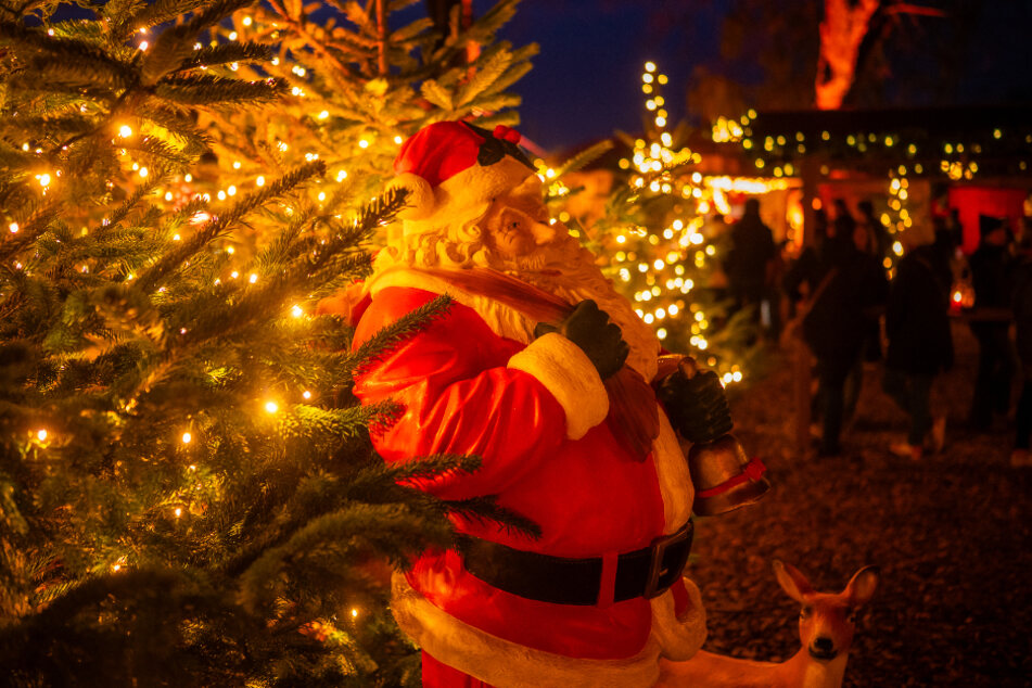 Auf ihre Kosten kommen laut den Veranstaltern vor allem die kleinen Besucher: Immer sonntags ist der Weihnachtsmann zu Besuch und verteilt Geschenke.