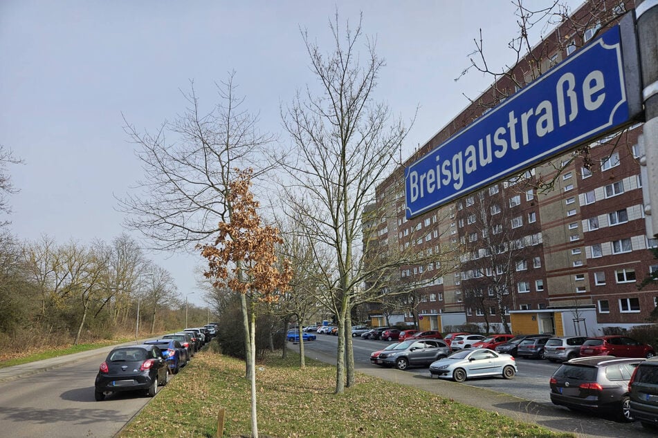 Der 16-Jährige fiel den Beamten in der Breisgaustraße auf.
