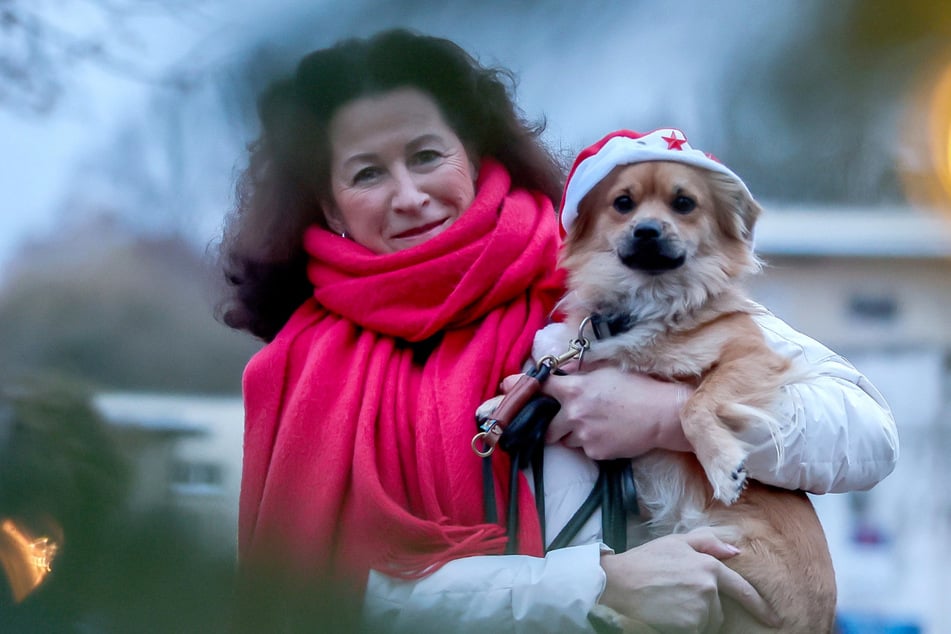 Hunde-Weihnachtsmärkte starten in Leipzig und Chemnitz