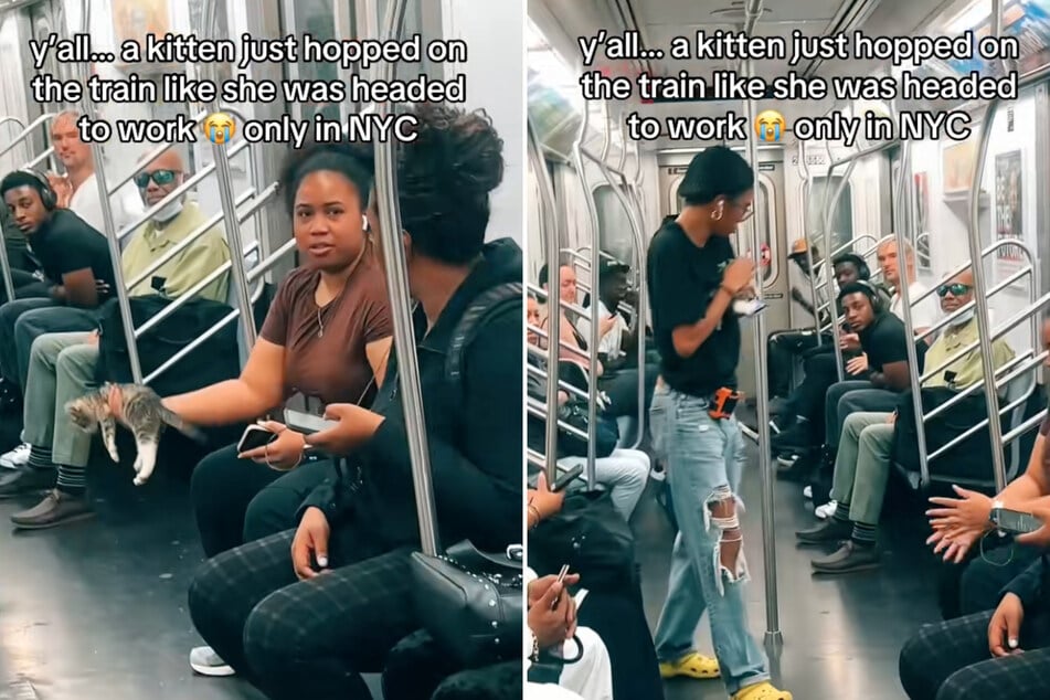 Les passagers regardent autour d'eux pour trouver le propriétaire introuvable - puis une jeune femme se décide à agir.