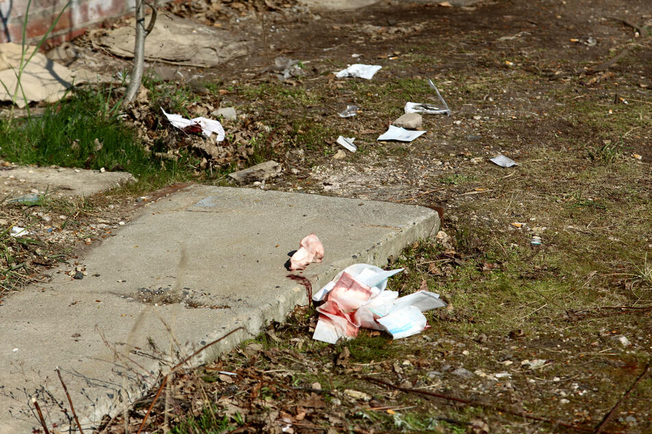 Mit Spürhunden untersuchten die Polizisten das Areal, auf dem sich die Explosion ereignete.