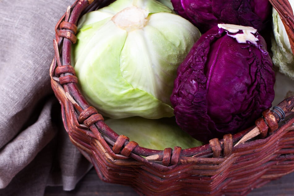 Seid Ihr eher Team Weiß- oder Team Rotkohl?