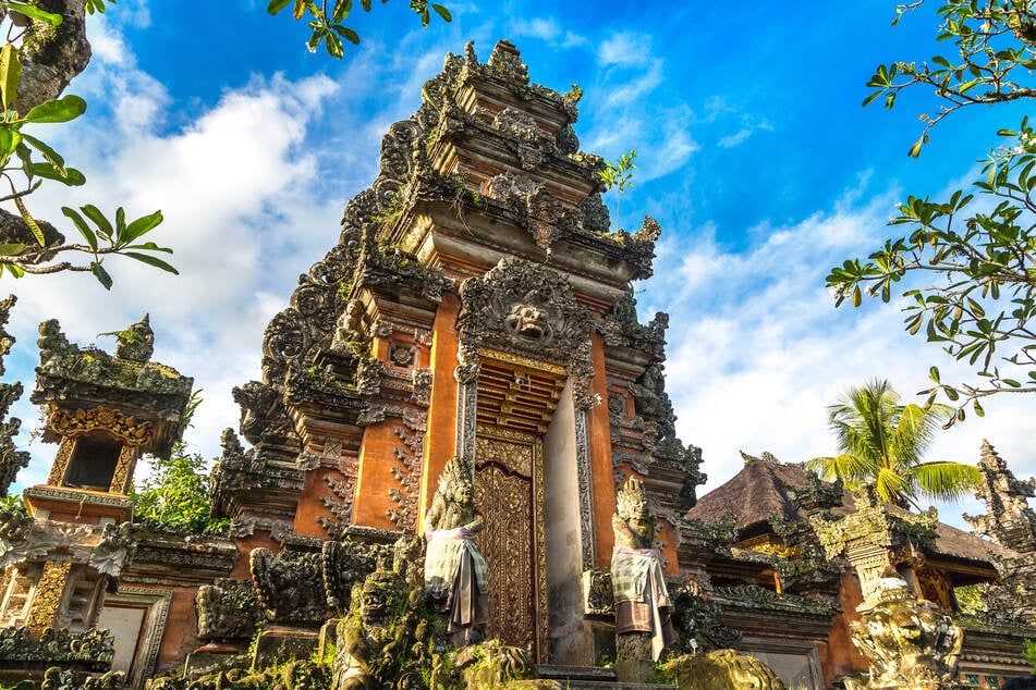 In den vergangenen Jahren gab es in Indonesien immer wieder tödliche Pythonattacken. (Symbolfoto)