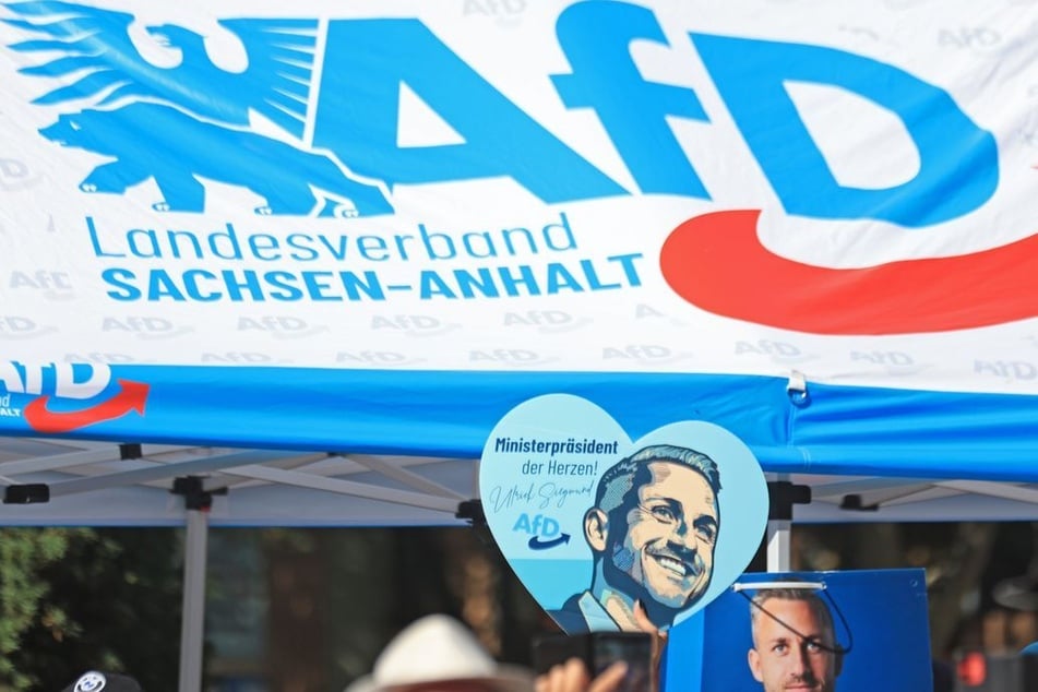 Laut aktuellen Umfragen geht die AfD als großer Gewinner der Landtagswahl hervor.