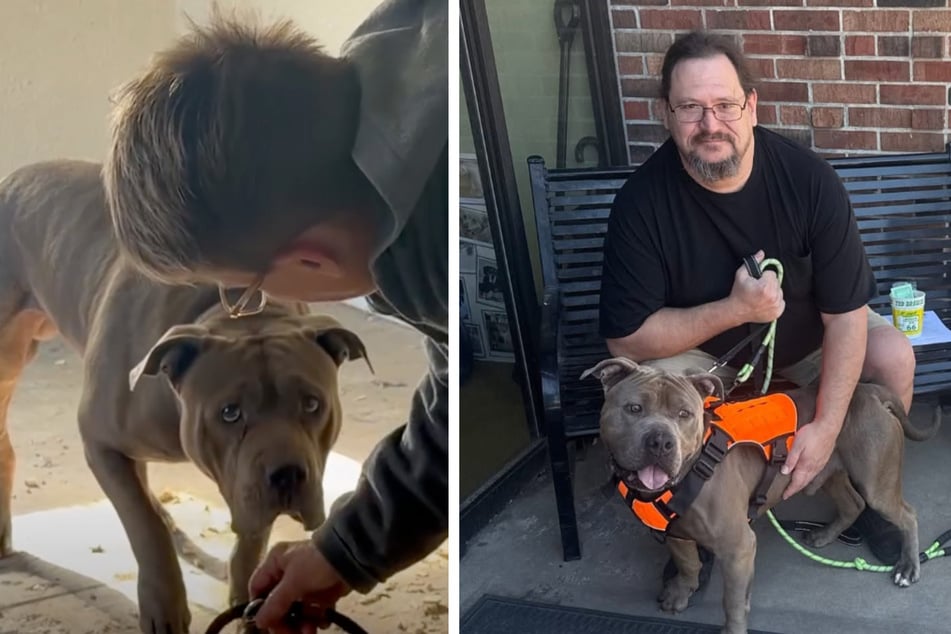 Der Unterschied ist nicht zu übersehen: Oscars ängstliches Gesicht bei der Rettung (linkes Foto) und sein fröhlicher Ausdruck bei seiner Adoption (rechtes Foto).