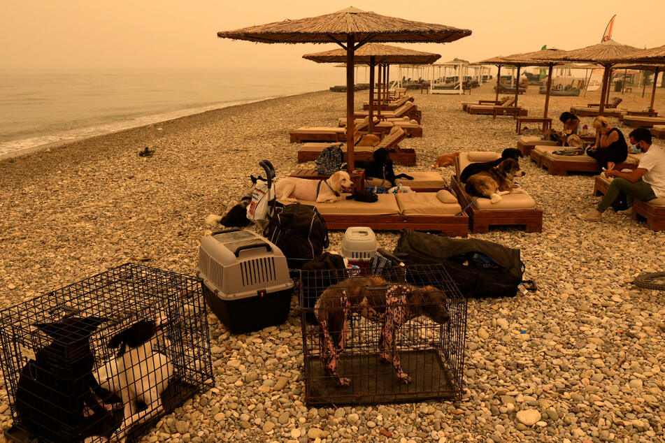 Griechenland, Evia: Menschen und Haustiere warten an einem Strand auf ihre Evakuierung im Dorf Pefki auf der Insel Euböa.