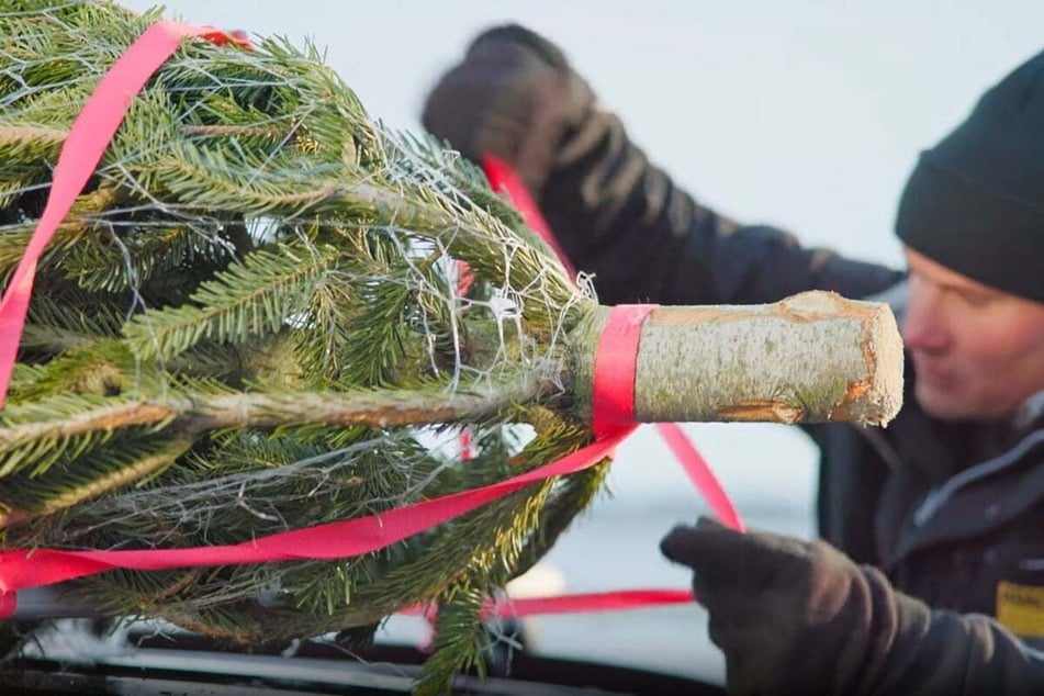 Heikle Dachlast: ADAC warnt vor fliegenden Weihnachtsbäumen