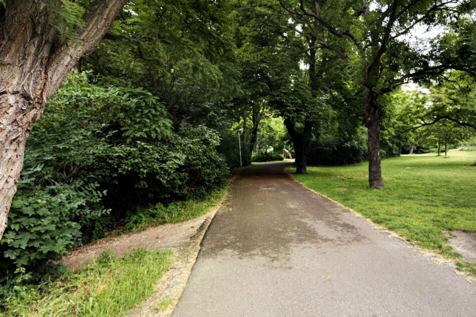 Im Glacis-Park ging die Männergruppe auf die beiden Passanten los.