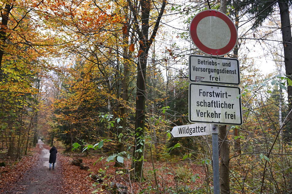 Zahlreiche Besucher parken illegal an der Thomas-Müntzer-Höhe.