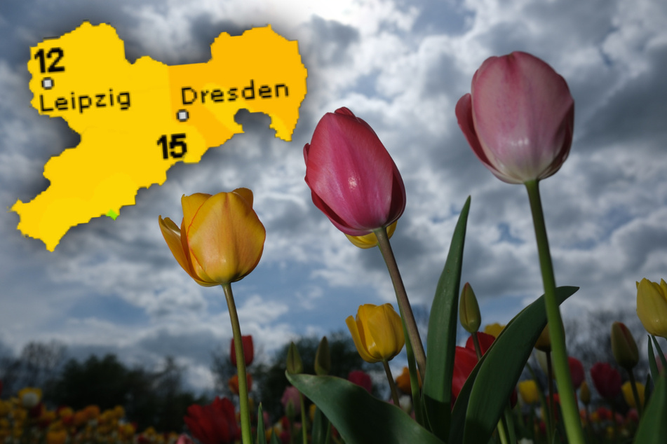 Auch der Mai startet mit wechselhaftem Wetter in Sachsen.