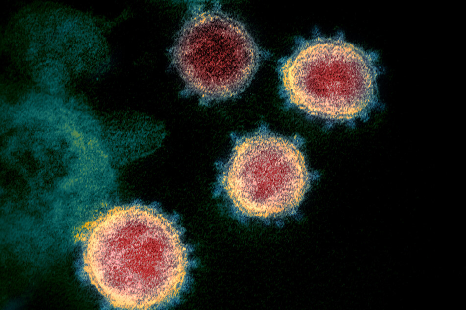 Zig Millionen Menschen hat das vor etwa einem halben Jahr aufgetauchte Coronavirus schon infiziert - mutiert es inzwischen und wird gefährlicher?