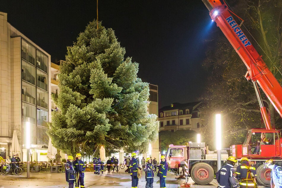 Stolze Tanne steht schon auf diesem Weihnachtsmarkt wie eine Eins