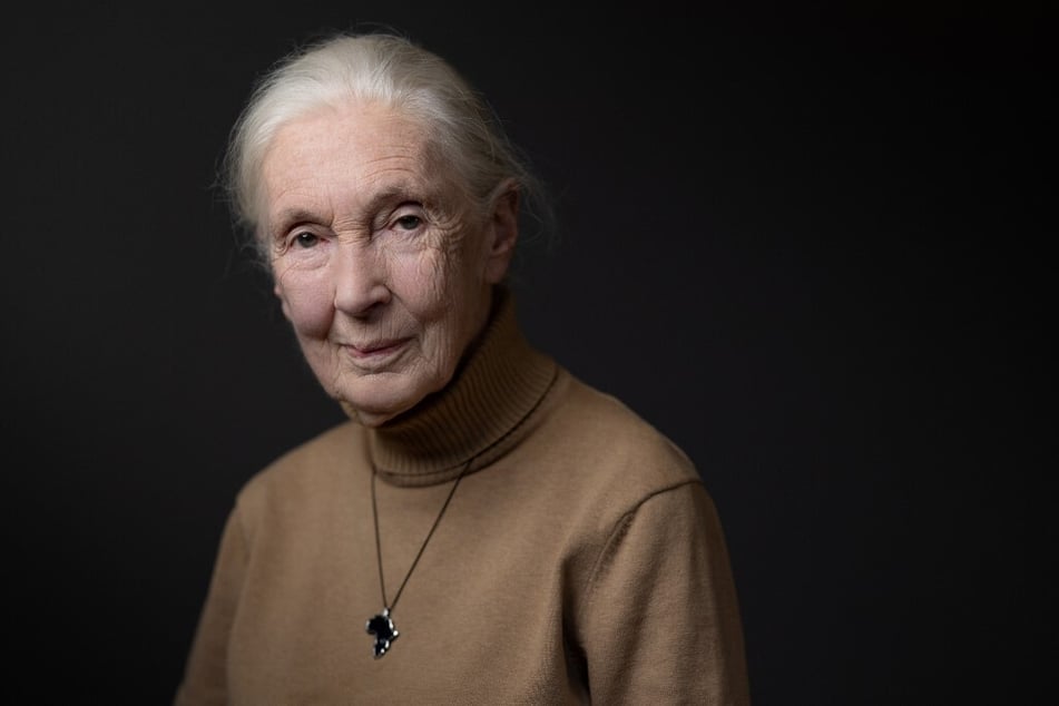 British ethologist and primatologist Jane Goodall poses during a photo session on October 18, 2024, in Paris, France.