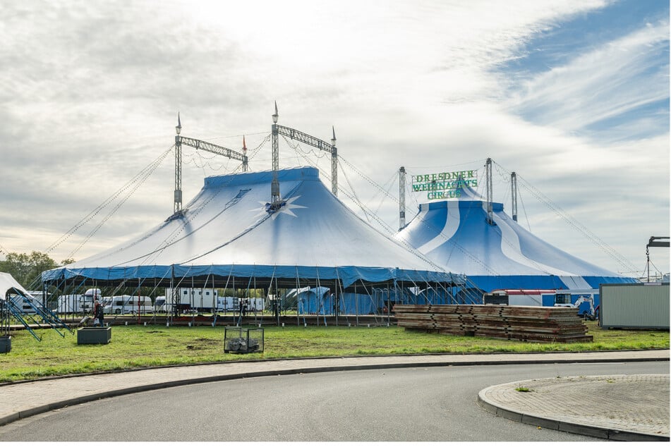Der Dresdner Weihnachts-Circus öffnet seine Manege für Weltklasse-Breakdance.