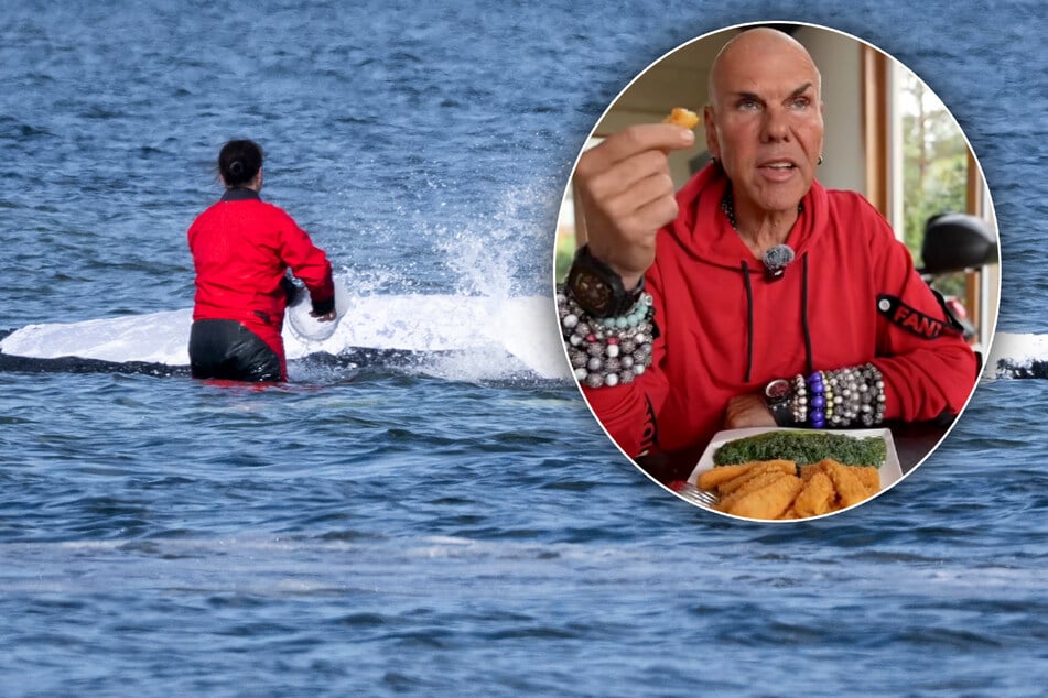 Nie wieder Fischstäbchen für Kult-Gastronom René Redo? Das hat Wal "Timmy" damit zu tun
