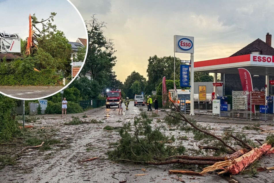 Blitz schlägt in Baum ein und zerfetzt ihn! Umher geschleuderte Teile beschädigen Häuser