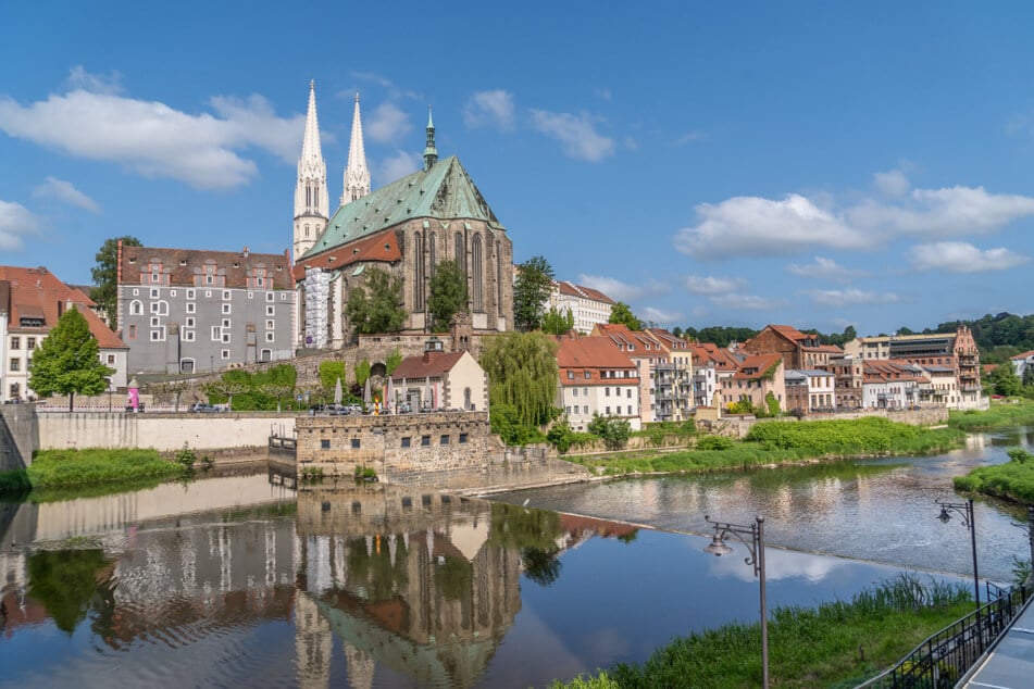 71 Prozent der sächsischen Speisefischproduktion findet in den Landkreisen Görlitz und Bautzen statt.