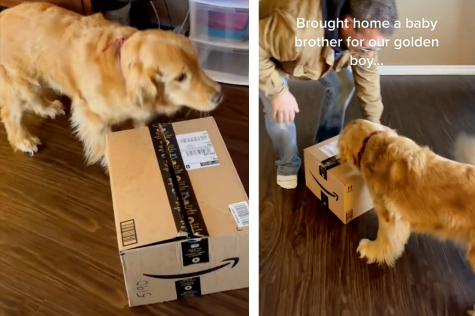 Walker wurde mit einem Amazon-Paket überrascht.