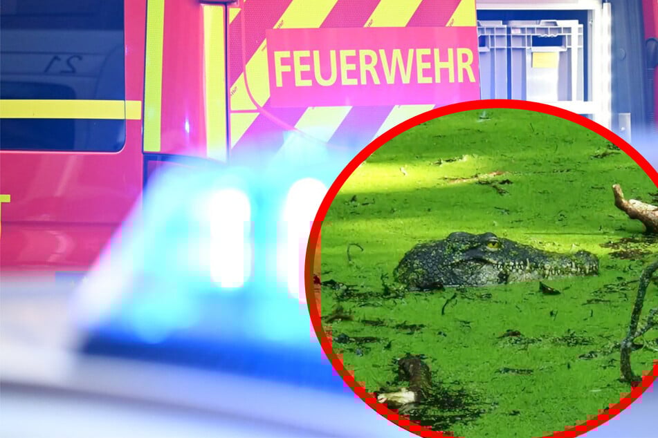 Krokodil gesichtet? Feuerwehr rückt zu Tümpel aus