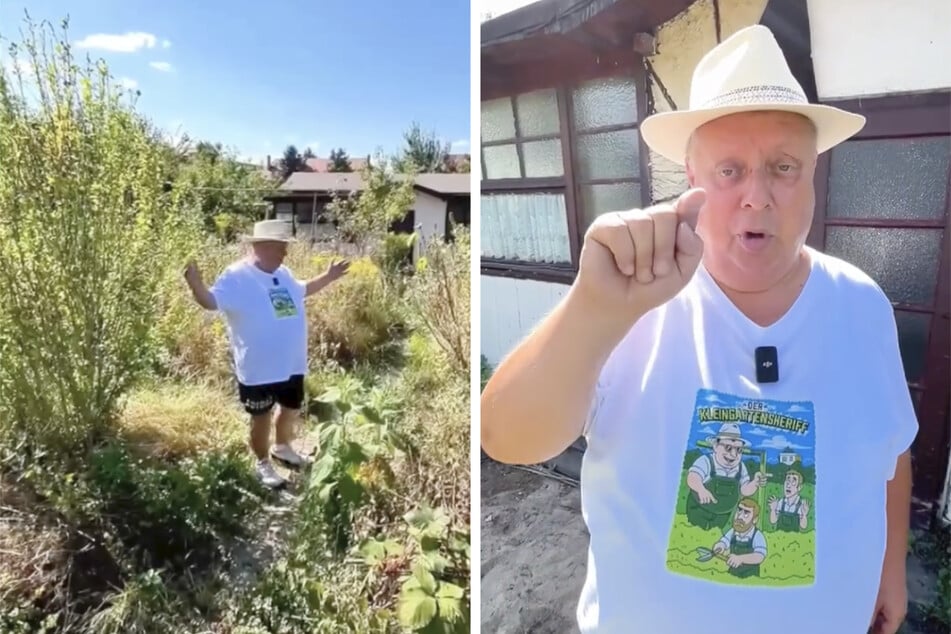 Michael Baumann macht einen Anruf: Wer will den Horror-Garten umsonst übernehmen?