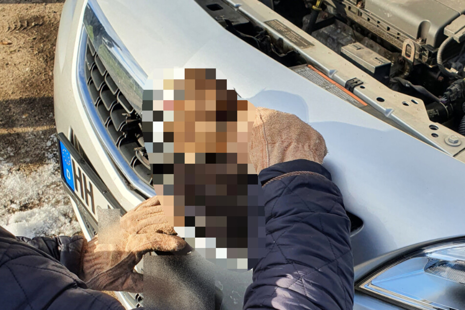 72-Jährige kann nicht glauben, was da in ihrem Kühlergrill steckt