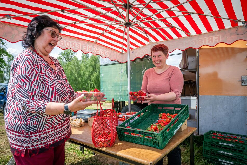 Mitarbeiterin Sabine Träger (37, r.) vom Obstgut Seelitz verkauft die Erdbeeren am Feld an der B175 in Spernsdorf bei Zettlitz.