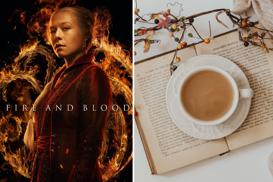 The House of the Dragon recently finished its first season, leaving fans desperate to fill the void of their favorite show. These BookTok favorites have you covered.