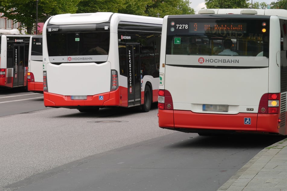 Hamburg im Sommer-Modus: Welche Busse in den Ferien anders fahren