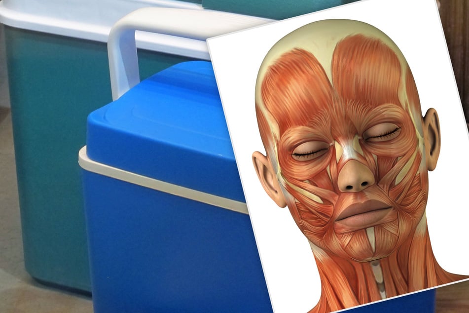 Spine-chilling mystery: A cooler full of humans heads was stolen in Denver