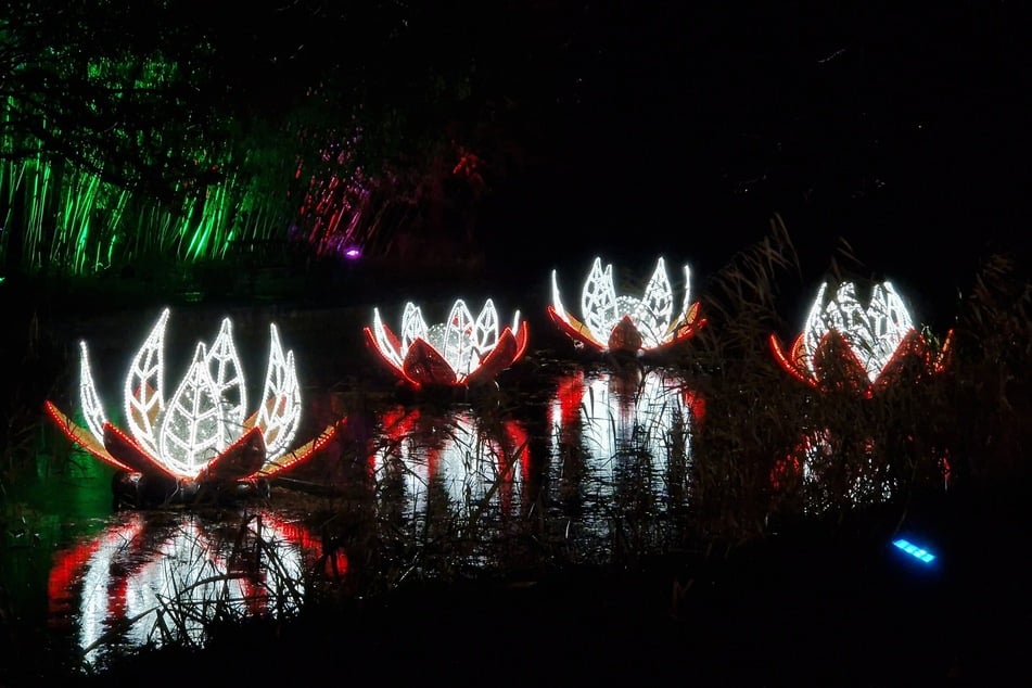 Die Seerosen sind eine von vielen Wasserinstallationen in den Christmas Garden Hamburg.