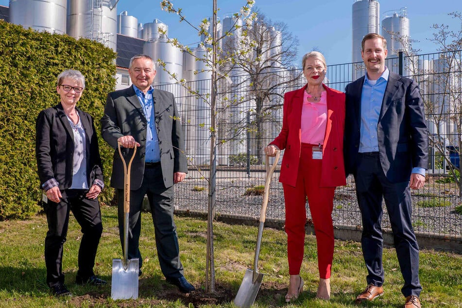 Aus besonderem Anlass: Radeberger Käsefabrik feiert und pflanzt Bäume
