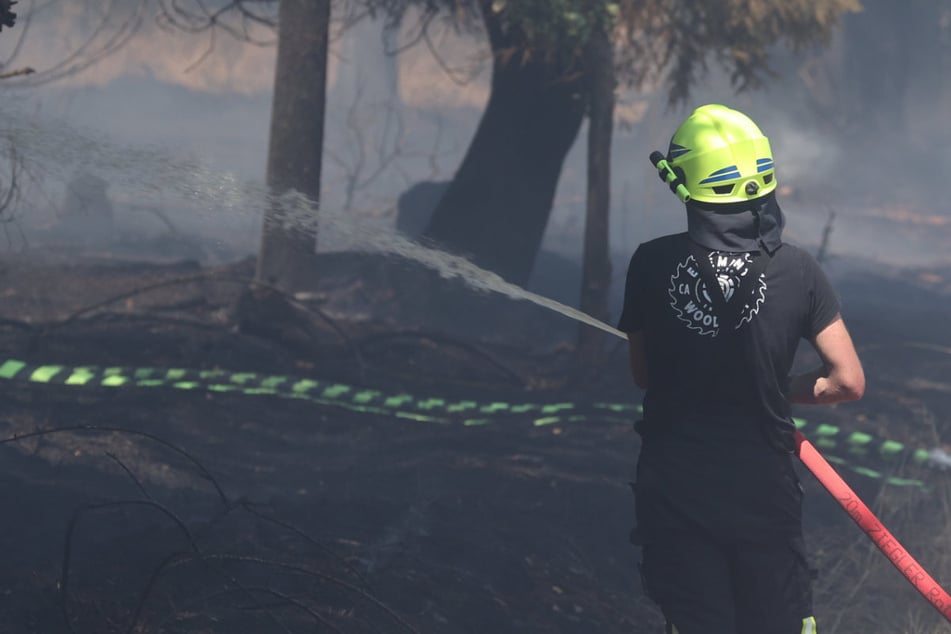In einigen Gebieten Bayerns steigt die Waldbrandgefahr auf die höchste Stufe. (Symbolbild)