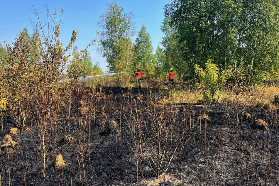 Die Feuerwehr konnte alle Brände löschen. Dennoch hinterließen die Flammen ihre Spuren.