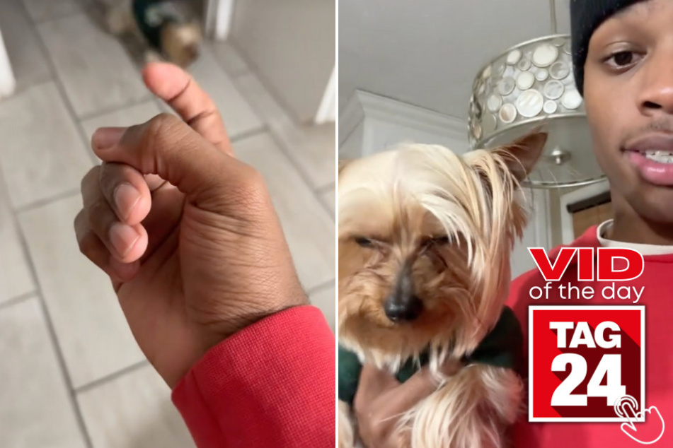 Today's Viral Video of the Day features a TikToker's hilarious way of stopping his dog from finding and tearing up his socks.