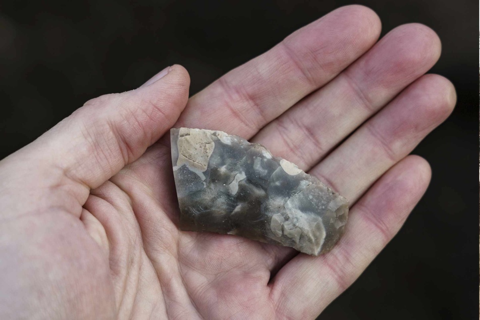 Ein Archäologe hält an einer Fundstelle bei einer Ausgrabung des archäologischen Landesamtes Schleswig-Holstein (ALSH) in Archsum auf der Insel Sylt das Bruchstück einer circa 4000 Jahre alten Flintsichel in der Hand.