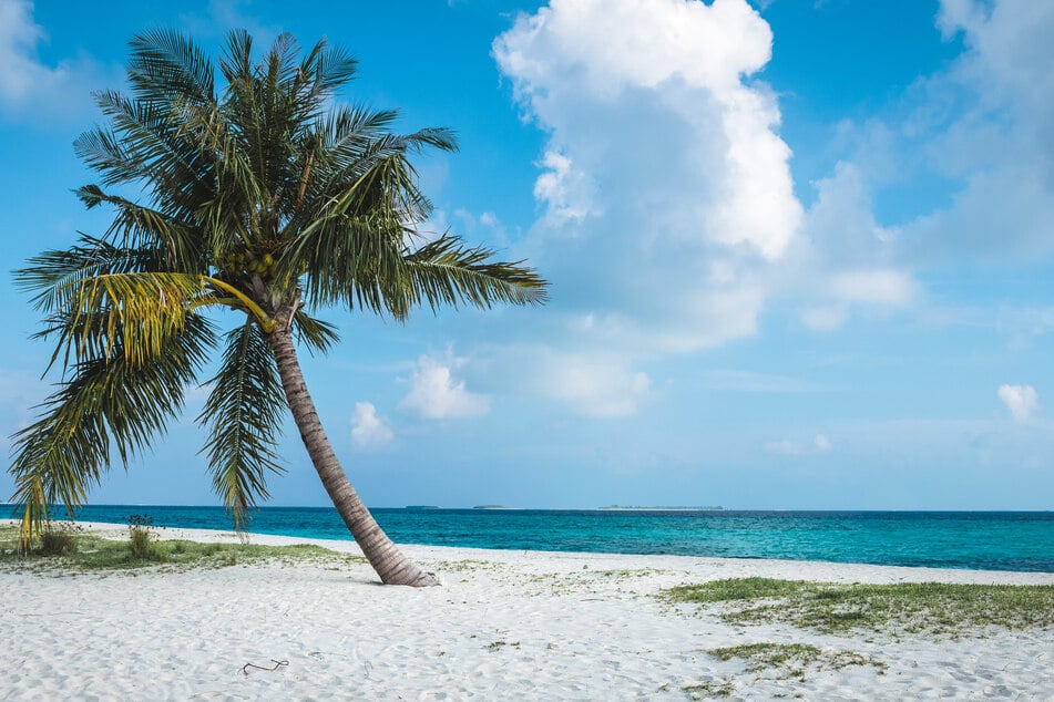 Es sollten entspannte Tage auf den Malediven werden - doch für das Paar kam alles anders. (Symbolbild)